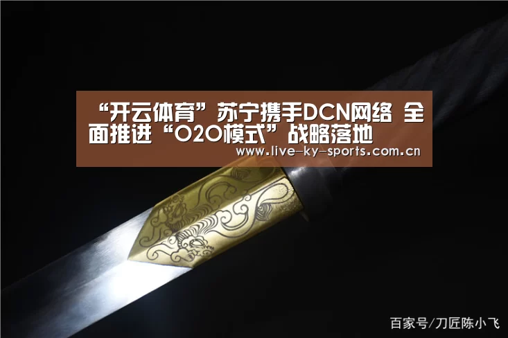 “开云体育”苏宁携手DCN网络 全面推进“O2O模式”战略落地(图2) 开云官网