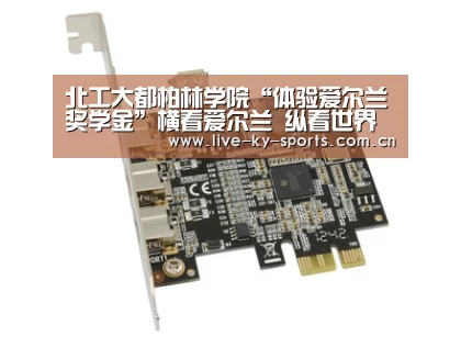 北工大都柏林学院“体验爱尔兰奖学金”横看爱尔兰 纵看世界‘赛事数据’(图2) 开云体育