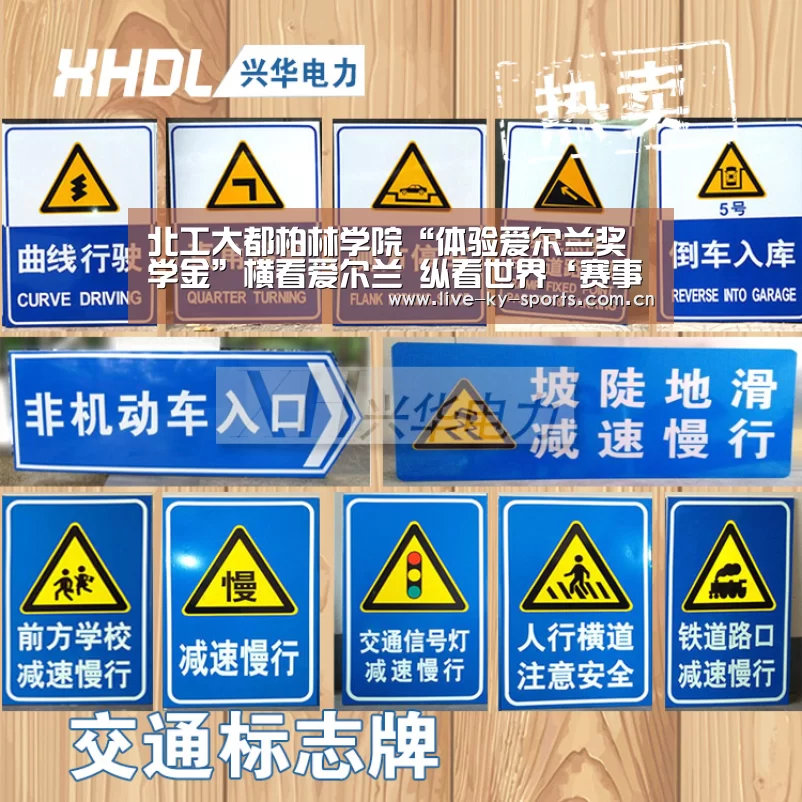 北工大都柏林学院“体验爱尔兰奖学金”横看爱尔兰 纵看世界‘赛事数据’(图1) 开云官网