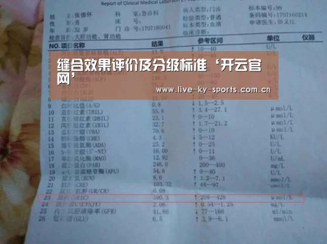 缝合效果评价及分级标准‘开云官网’(图2) 赛事数据